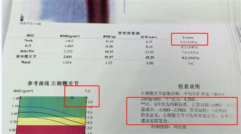 檢測儀上的數據怎么看,檢測儀上的數據怎么看圖解縮略圖