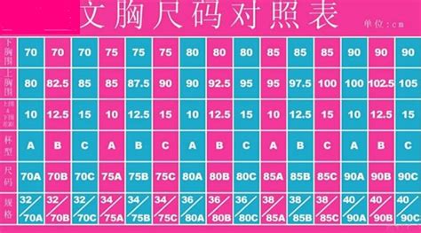 內衣罩杯abcd怎么區分的(內衣罩杯尺碼對照表)縮略圖