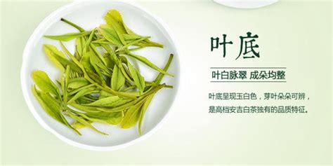 安吉白茶兩罐500g138元,安吉白茶兩盒裝價格縮略圖