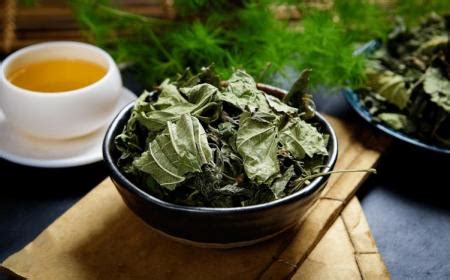 青錢柳玉米須桑葉茶(青錢柳玉米須桑葉茶的功效和作用)縮略圖