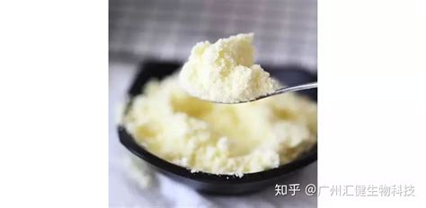 脫脂乳粉和脫脂牛奶的區別,脫脂牛奶和脫脂乳粉有區別嗎縮略圖