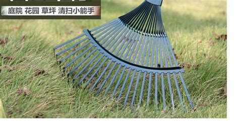 耙子耙草,拔草用的耙子縮略圖