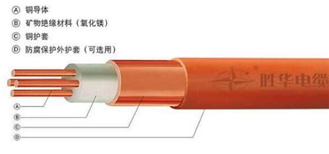 礦物質(zhì)電纜做法和壓法(礦物質(zhì)電纜做法和壓法講解)縮略圖