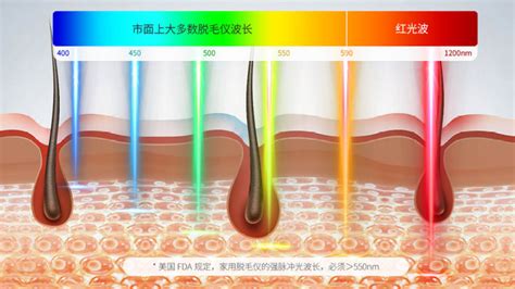 脫毛儀怎么選,脫毛儀怎么選最正確縮略圖
