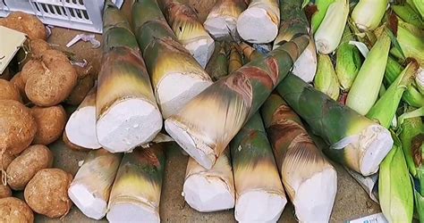 筍干制作全過(guò)程,筍干制作全過(guò)程視頻縮略圖