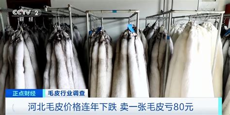 皮草批發市場哪最便宜,北京皮草批發市場哪最便宜縮略圖