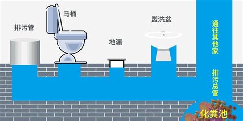 衛生間反臭味小竅門,衛生間反臭味小竅門除味劑?縮略圖