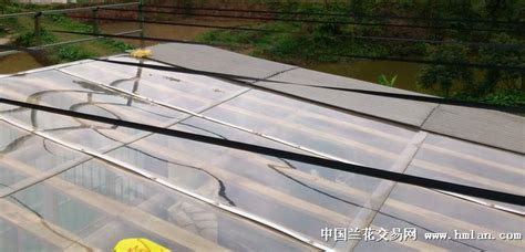 遮陽網(wǎng)的正確搭建方法(遮陽網(wǎng)的正確搭建方法視頻)縮略圖