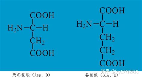 氨基酸是什么,氨基酸是什么功效和作用縮略圖