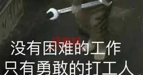 天選打工人什么意思(天選打工人什么意思啊網(wǎng)絡(luò)用語)縮略圖