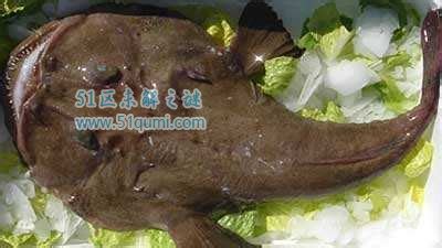 安康魚的營養價值及功效與作用,安康魚的營養價值和功效縮略圖
