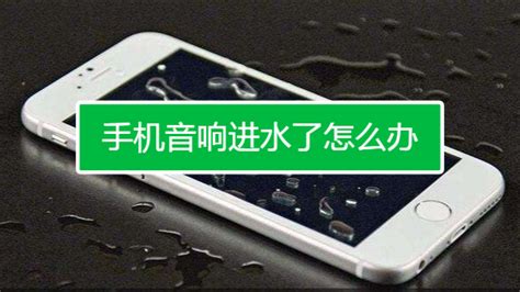 揚聲器進水聲音變沙啞(揚聲器進水聲音變沙啞怎么解決)縮略圖
