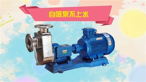 隔膜泵不上水怎么回事(氣動隔膜泵不上水怎么回事)縮略圖
