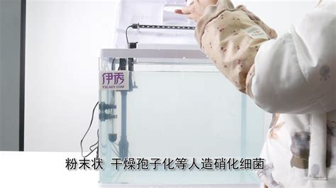 硝化細菌正確使用方法,硝化細菌正確使用方法及用量縮略圖