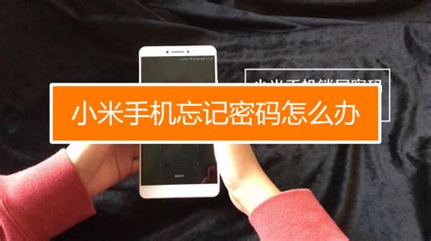 保密柜密碼忘了怎么辦(保密柜密碼忘了怎么辦啊)縮略圖