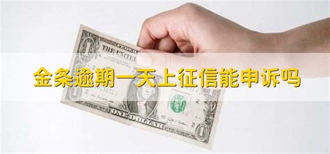 金條借款有額度借不了怎么辦(京東金條有額度不能借款多久恢復)縮略圖