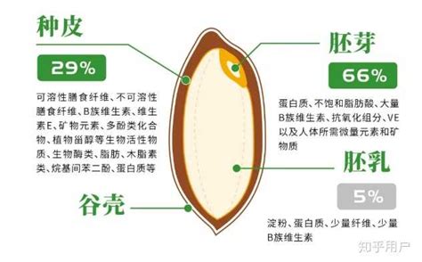 胚芽米怎么煮(胚芽米怎么煮最有營養)縮略圖
