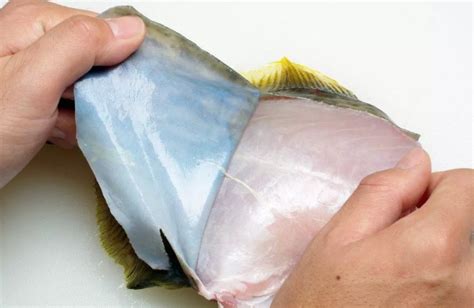 剝皮魚怎么剝,剝皮魚怎么剝皮更快又簡(jiǎn)單縮略圖