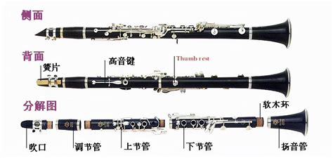單簧管指法視頻講解,單簧管初步教學指法視頻縮略圖