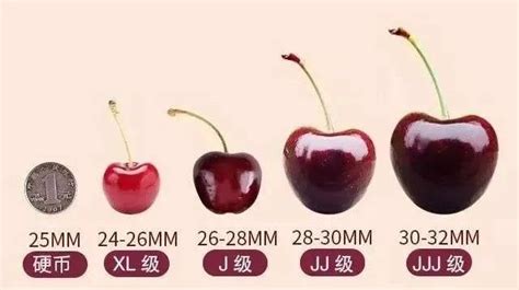 車?yán)遄訋讉€(gè)J代表什么意思(車?yán)遄訋讉€(gè)j代表什么意思)縮略圖
