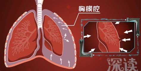 氣管炎胸悶氣短憋氣(氣管炎胸悶氣短憋氣腳腫怎么回事)縮略圖