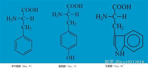 氨基酸的功效與作用適合哪些人,氨基酸的功效與作用適合哪些人群縮略圖