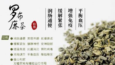 羅布麻降壓片的功效與副作用,羅布麻降壓片長(zhǎng)期吃有什么副作用縮略圖