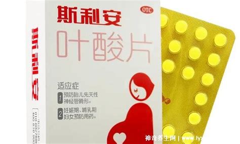 斯利安葉酸片一天幾片(斯利安葉酸片一天吃幾片)縮略圖