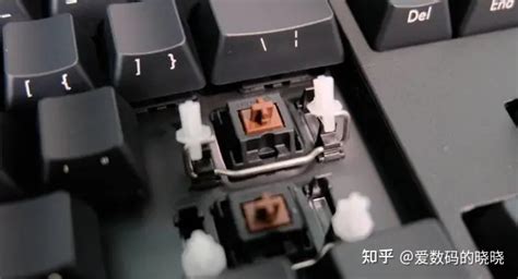 茶軸和紅軸哪個手感好(茶軸和紅軸哪個手感好些)縮略圖