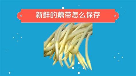 藕帶怎么保存比較新鮮(藕帶怎么炒好吃又簡單)縮略圖