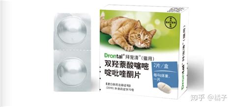 拜寵清驅蟲藥怎么吃,拜寵清驅蟲藥怎么吃貓縮略圖