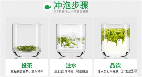 安吉白茶的特點和功效,安吉白茶的特點和功效和禁忌縮略圖
