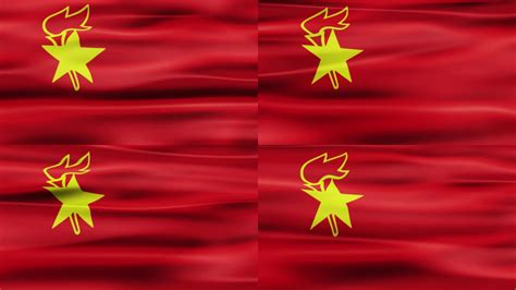 隊旗設計圖案大全(隊旗設計圖案大全簡單)縮略圖