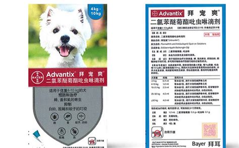 拜寵清幼犬驅蟲藥怎么使用(拜寵清幼犬體內驅蟲藥多久吃一次)縮略圖
