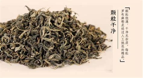 羅布麻茶的功效與副作用(羅布麻茶的功效與副作用說(shuō)明)縮略圖