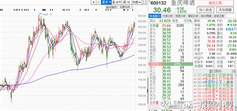 重慶啤酒股票基本面分析報(bào)告,重慶啤酒股票基本面分析報(bào)告作業(yè)縮略圖
