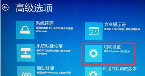 無法驗證此設備所需的數字簽名(無法驗證此設備所需的數字簽名怎么辦)縮略圖