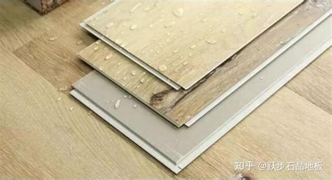石塑地板十大名牌價格(石塑地板十大品牌排行榜)縮略圖