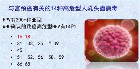 安全套能阻隔hpv病毒嗎(男性hpv感染有什么表現)縮略圖