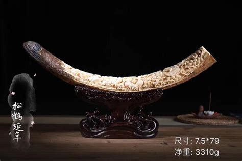 猛犸手串的功效與作用,猛犸牙手串對人體有什么好處縮略圖