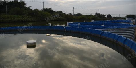 鍍鋅板養(yǎng)殖池養(yǎng)魚視頻,鍍鋅板養(yǎng)魚池養(yǎng)什么魚合適縮略圖