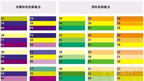 熒光綠搭配什么顏色(熒光綠搭配什么顏色好看)縮略圖