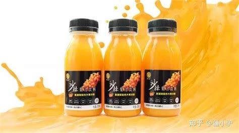 沙棘汁在哪里能買到正宗,沙棘汁是哪里特產(chǎn)縮略圖