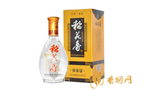 稻花香活力型52度酒價格表(稻花香活力型52度兩瓶裝酒價格表)縮略圖