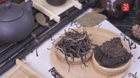 薄荷糖普洱茶是哪個寨子(薄荷糖普洱茶是哪個寨子,有什么特點)縮略圖
