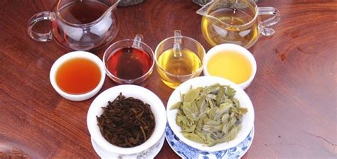 普洱茶生茶和熟茶有什么區(qū)別(普洱茶生茶和熟茶有什么區(qū)別嗎)縮略圖
