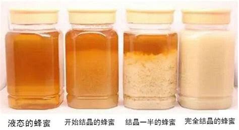 椴樹蜜怎么鑒別真假(椴樹蜜怎么鑒別真假視頻)縮略圖