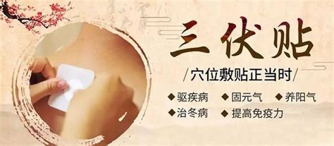 三伏貼的功效與作用(三伏貼的功效與作用貼哪里)縮略圖