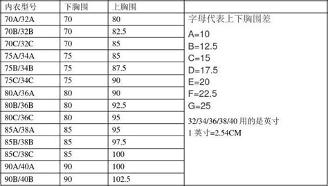 內(nèi)衣尺寸對照表(女性內(nèi)衣尺寸對照表)縮略圖
