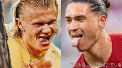 鐵錘妹妹什么意思(鐵錘妹妹什么意思呢)縮略圖